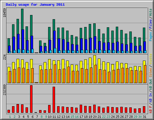 Daily usage for January 2011