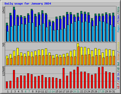 Daily usage for January 2024