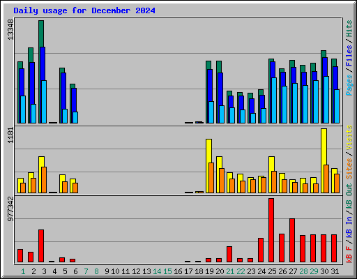 Daily usage for December 2024