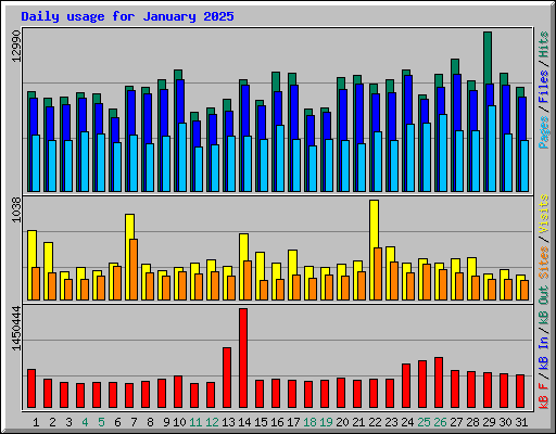 Daily usage for January 2025