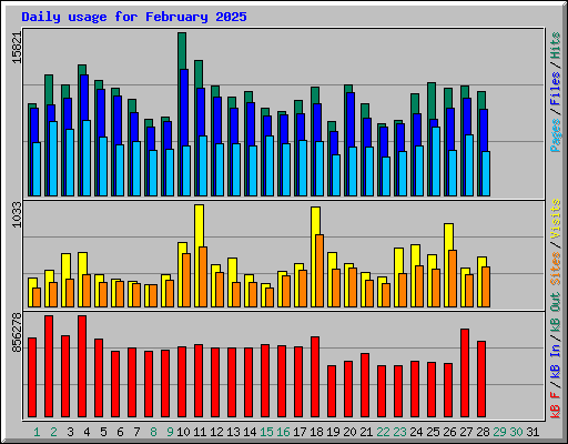 Daily usage for February 2025