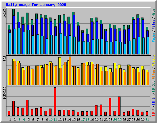 Daily usage for January 2026