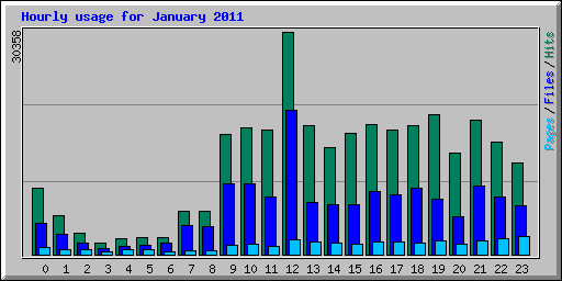 Hourly usage for January 2011