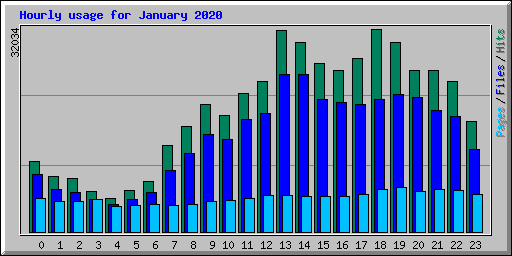 Hourly usage for January 2020