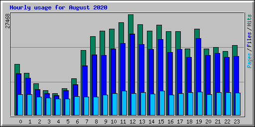 Hourly usage for August 2020