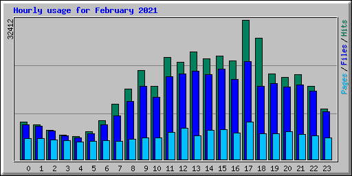 Hourly usage for February 2021
