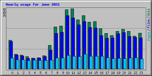 Hourly usage for June 2021