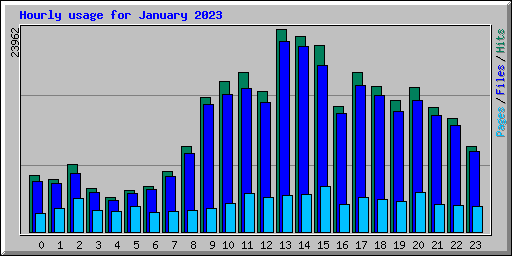 Hourly usage for January 2023