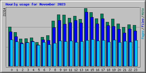 Hourly usage for November 2023