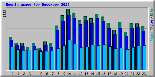 Hourly usage for December 2023