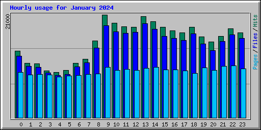 Hourly usage for January 2024