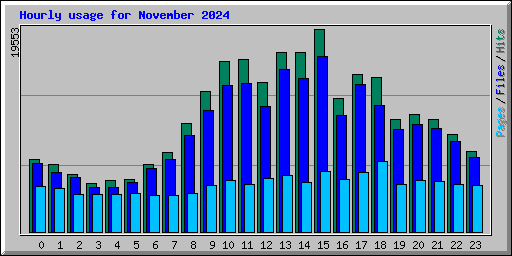 Hourly usage for November 2024