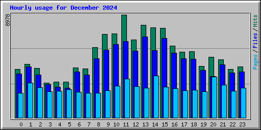 Hourly usage for December 2024