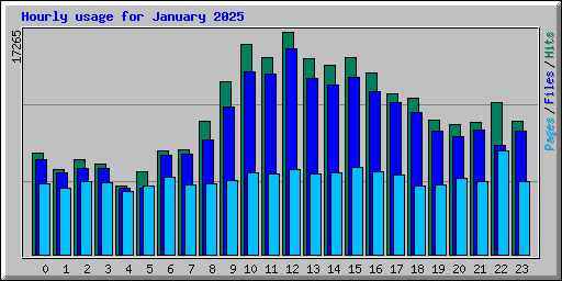 Hourly usage for January 2025
