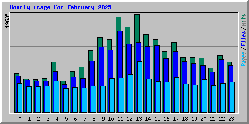 Hourly usage for February 2025