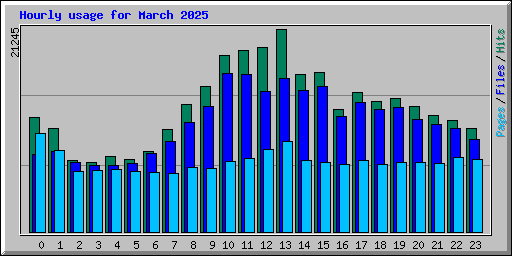 Hourly usage for March 2025