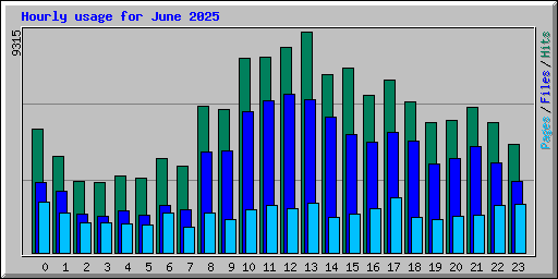 Hourly usage for June 2025