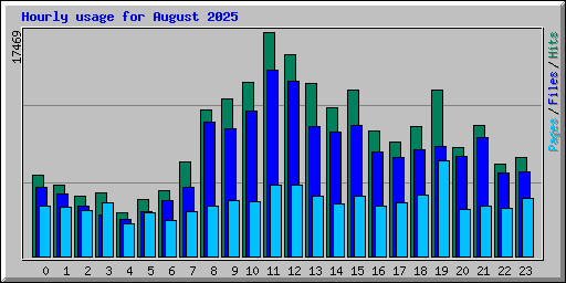 Hourly usage for August 2025