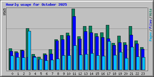 Hourly usage for October 2025
