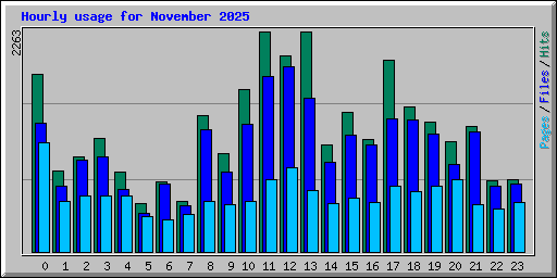 Hourly usage for November 2025