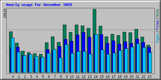 Hourly usage for December 2025