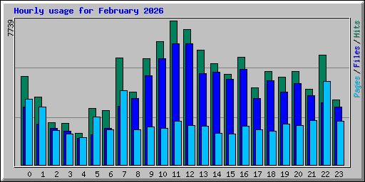 Hourly usage for February 2026