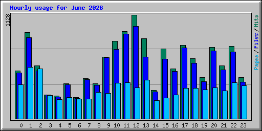 Hourly usage for June 2026