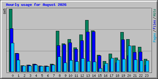 Hourly usage for August 2026